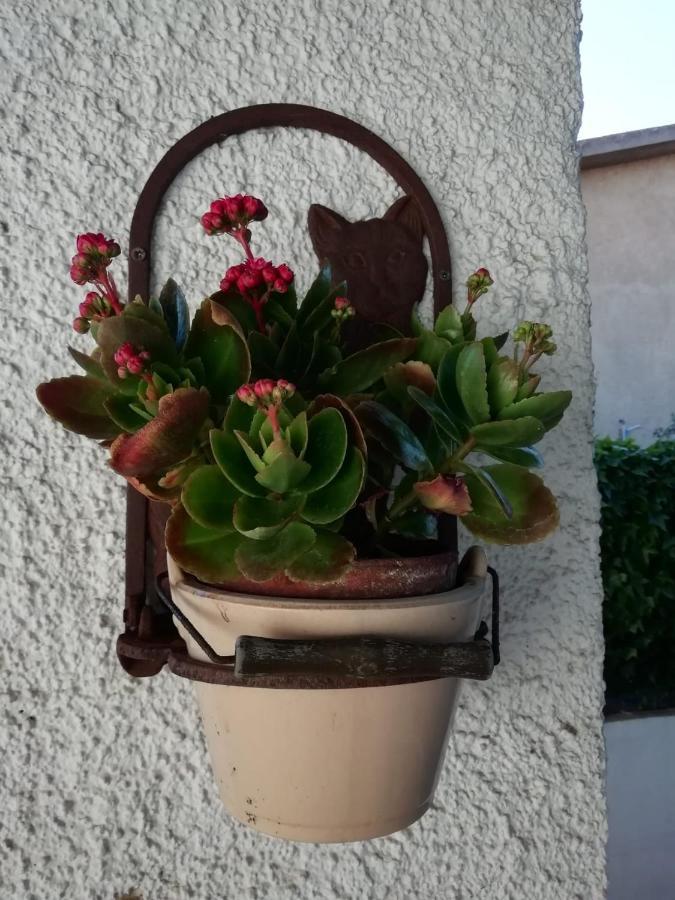 Apartament Casa Molara Olbia Zewnętrze zdjęcie